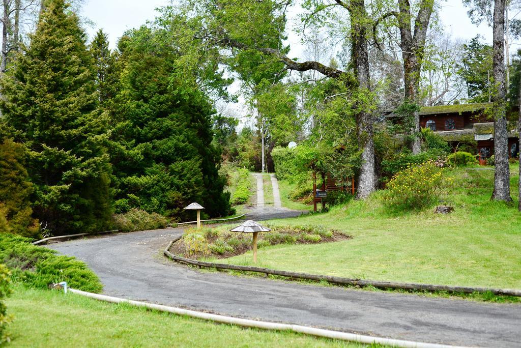 Cabanas Altos Del Lago Pucón Exteriör bild